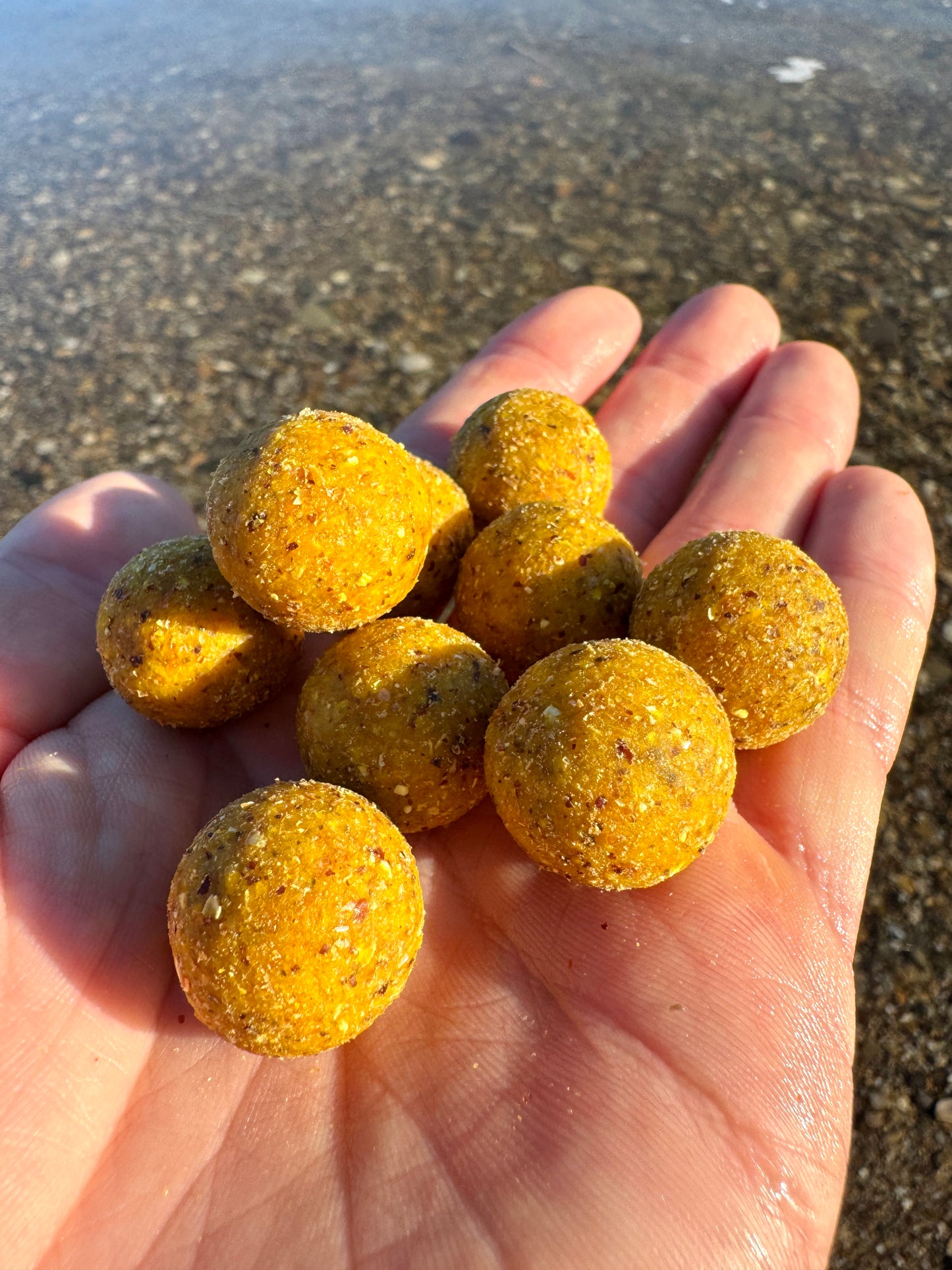 Creamy Scopex Boilie 5kg | 20mm