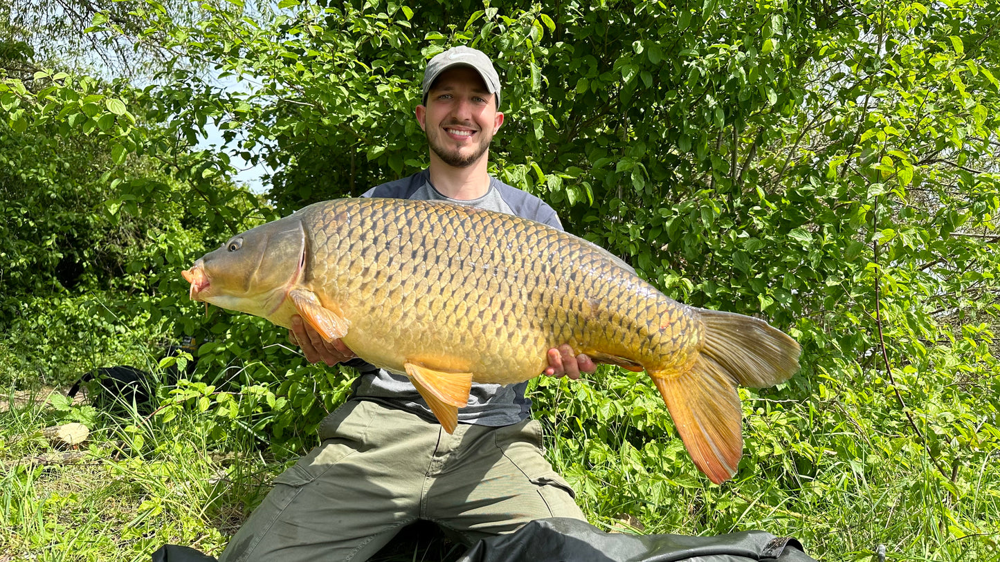 Scopex Boilies 5kg - 20mm