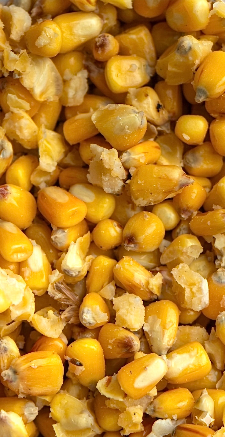 Vanillemais 1KG Vorgekocht süß
