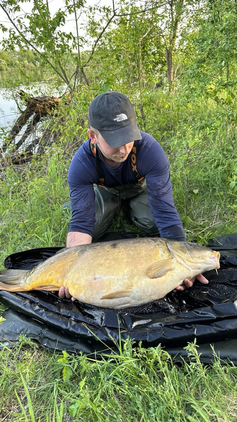 15kg Creamy Scopex Boilies Bundle 20mm | Karpfenfutter Karpfen Angel Fisch Carp
