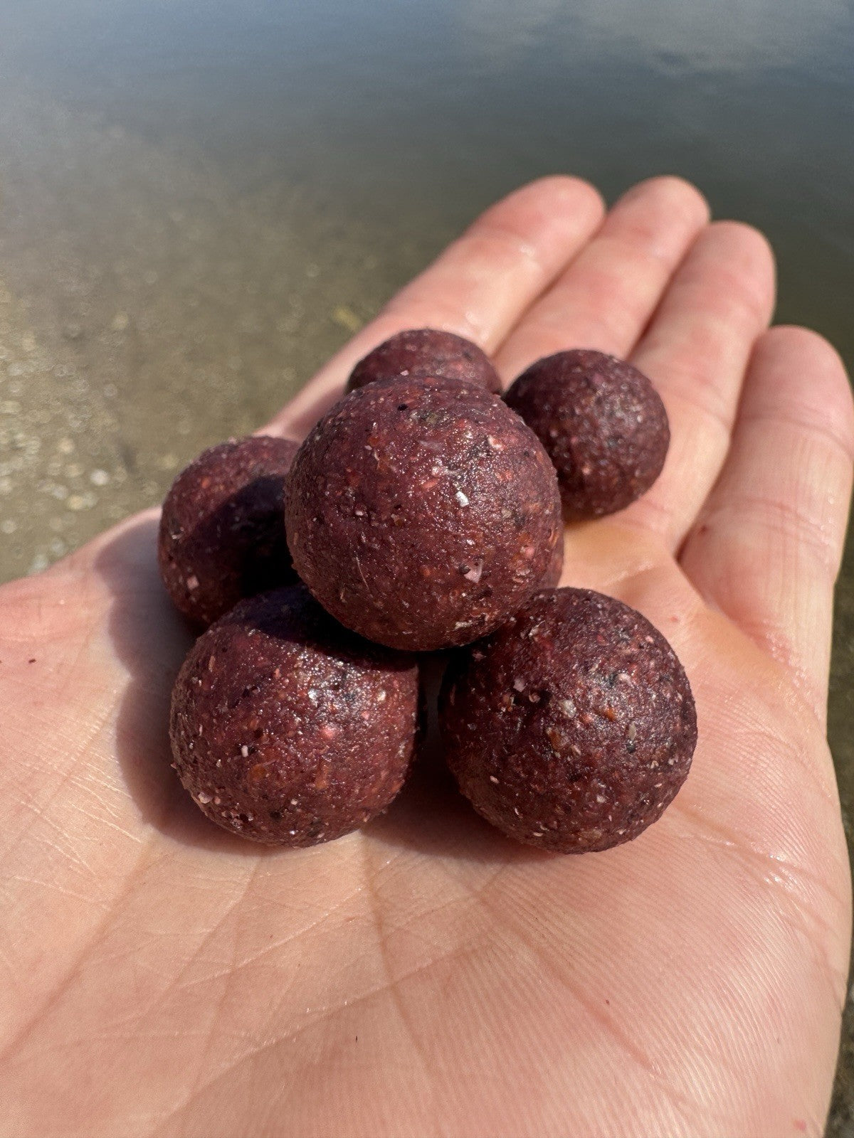 10kg Boilie Bundle 20mm - Karpfenangeln - Carp - Strawberry/Garlic Robin Red