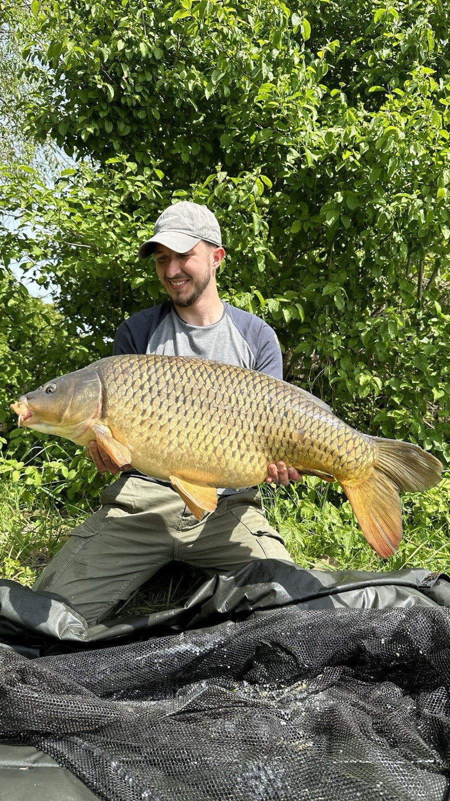 15kg Creamy Scopex Boilies Bundle 20mm | Karpfenfutter Karpfen Angel Fisch Carp