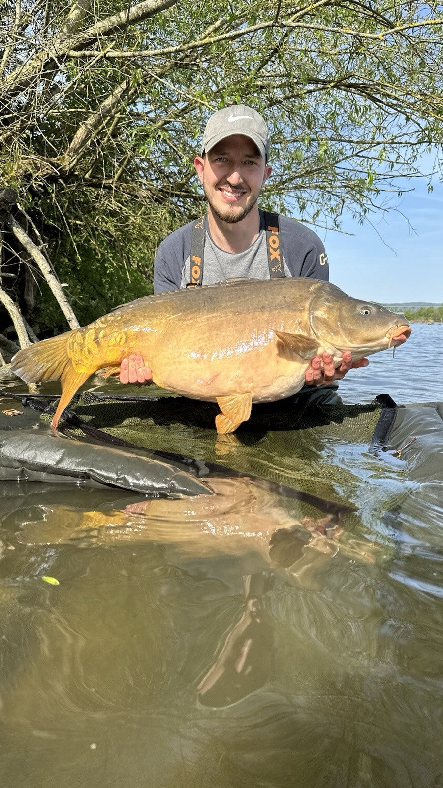 15kg Creamy Scopex Boilies Bundle 20mm | Karpfenfutter Karpfen Angel Fisch Carp