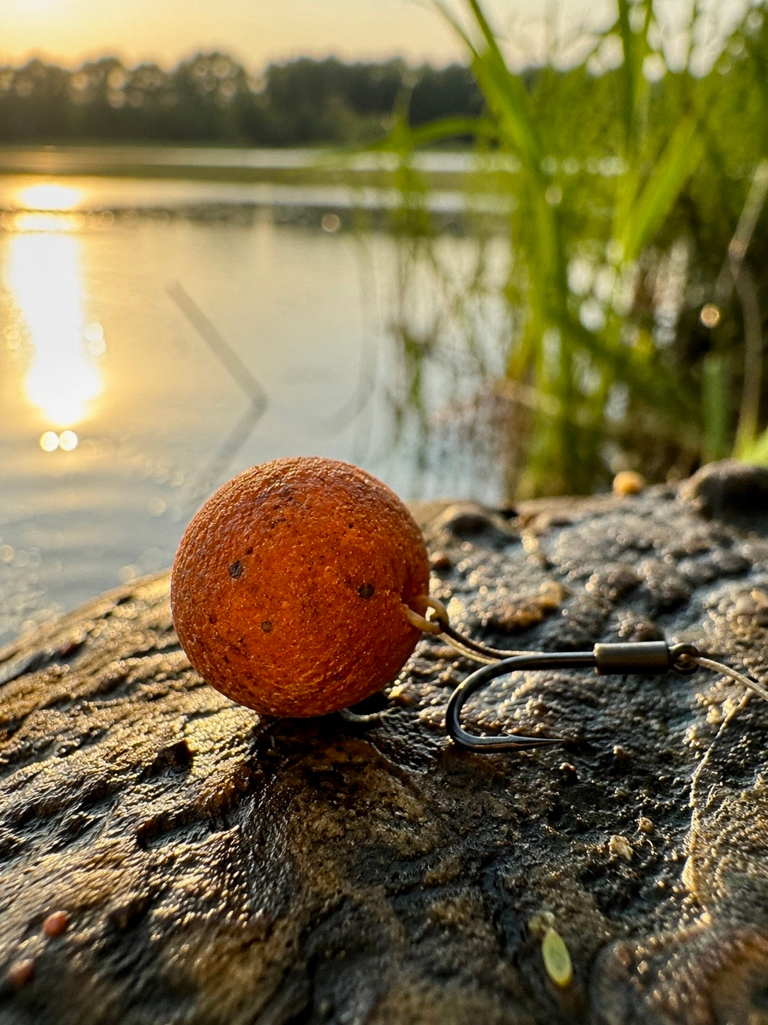Monster Crab Boilies 5kg | 20mm