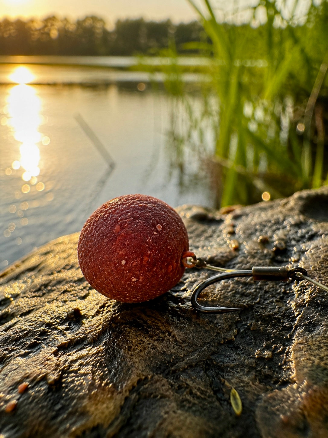 Krill Boilies 5kg | 20mm - BIG Carp