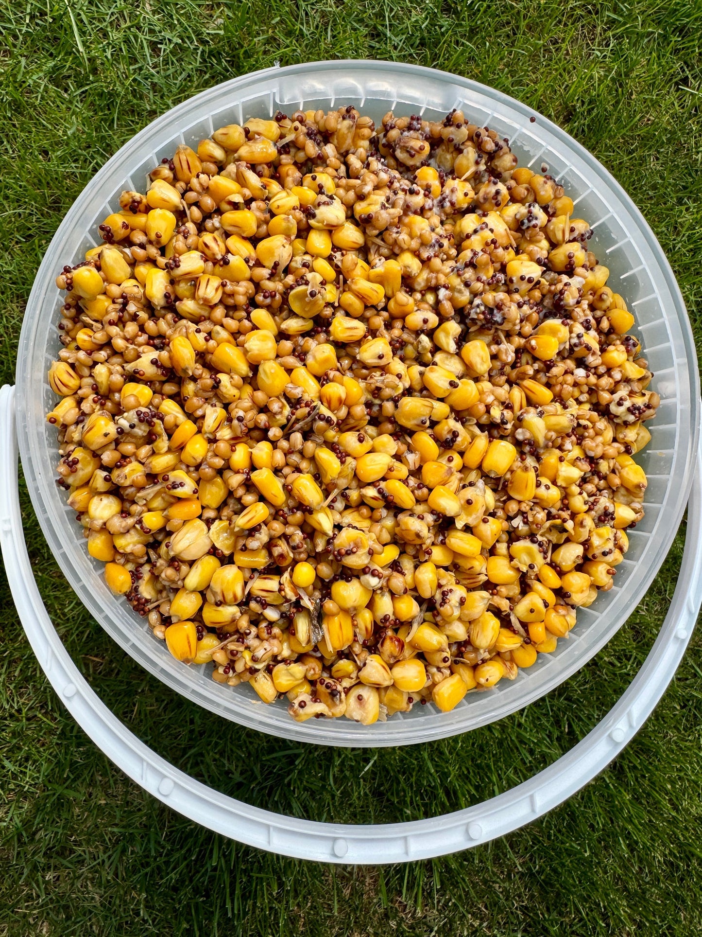 Partikelmix 10KG Fertiggekocht & Direkt Einsatzbereit