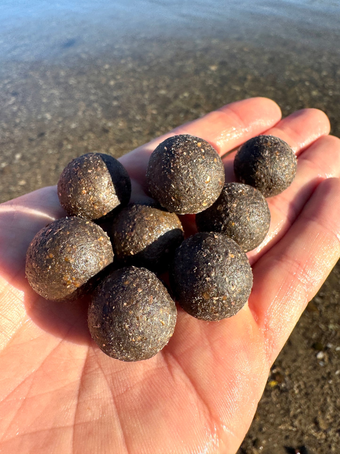 10kg Boilie Bundle – Creamy Scopex & Monster Crab – 20mm – Karpfen/Carp Top Preis!