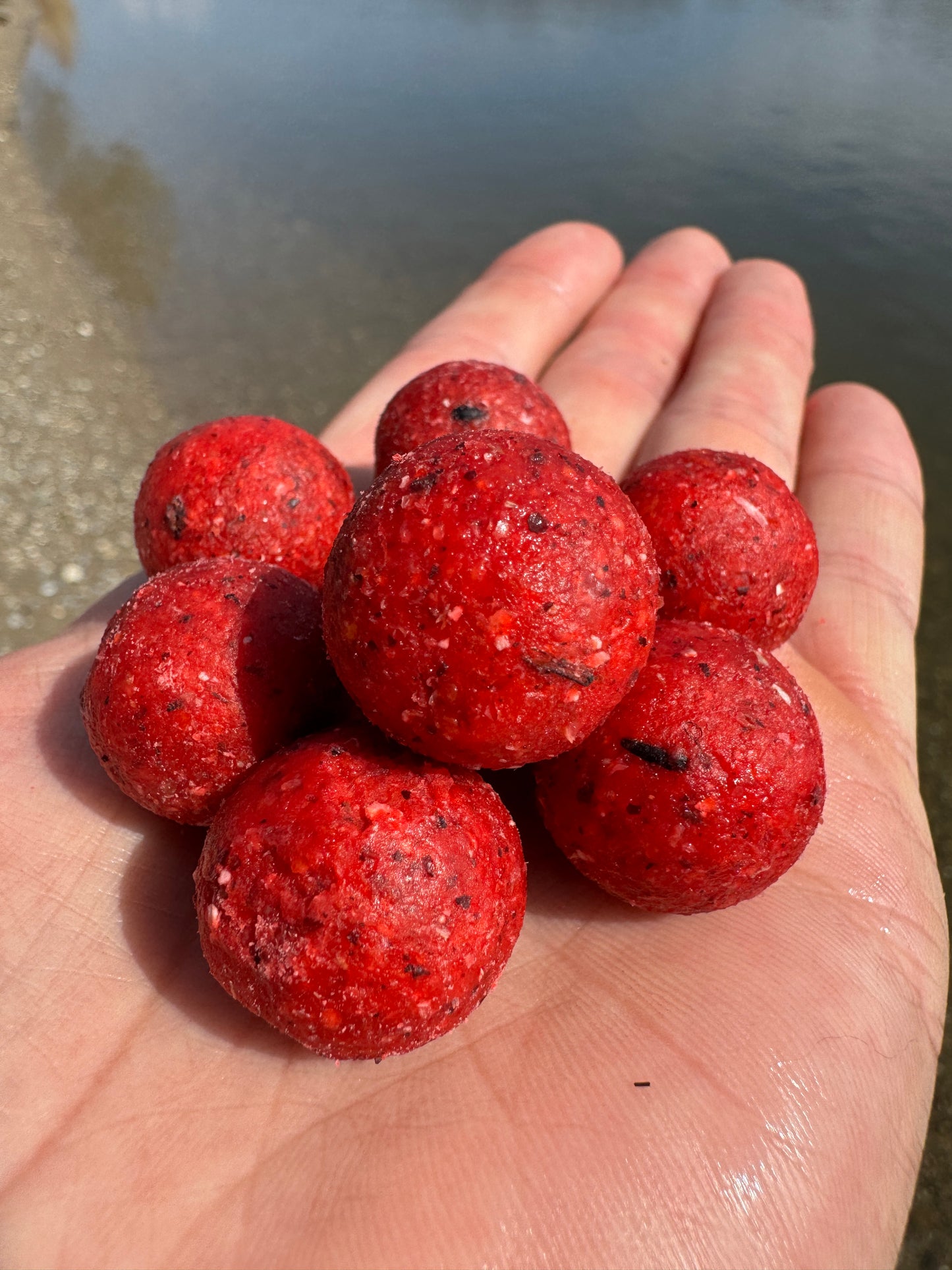 Strawberry Boilies 5kg - 20mm - Karpfenangeln
