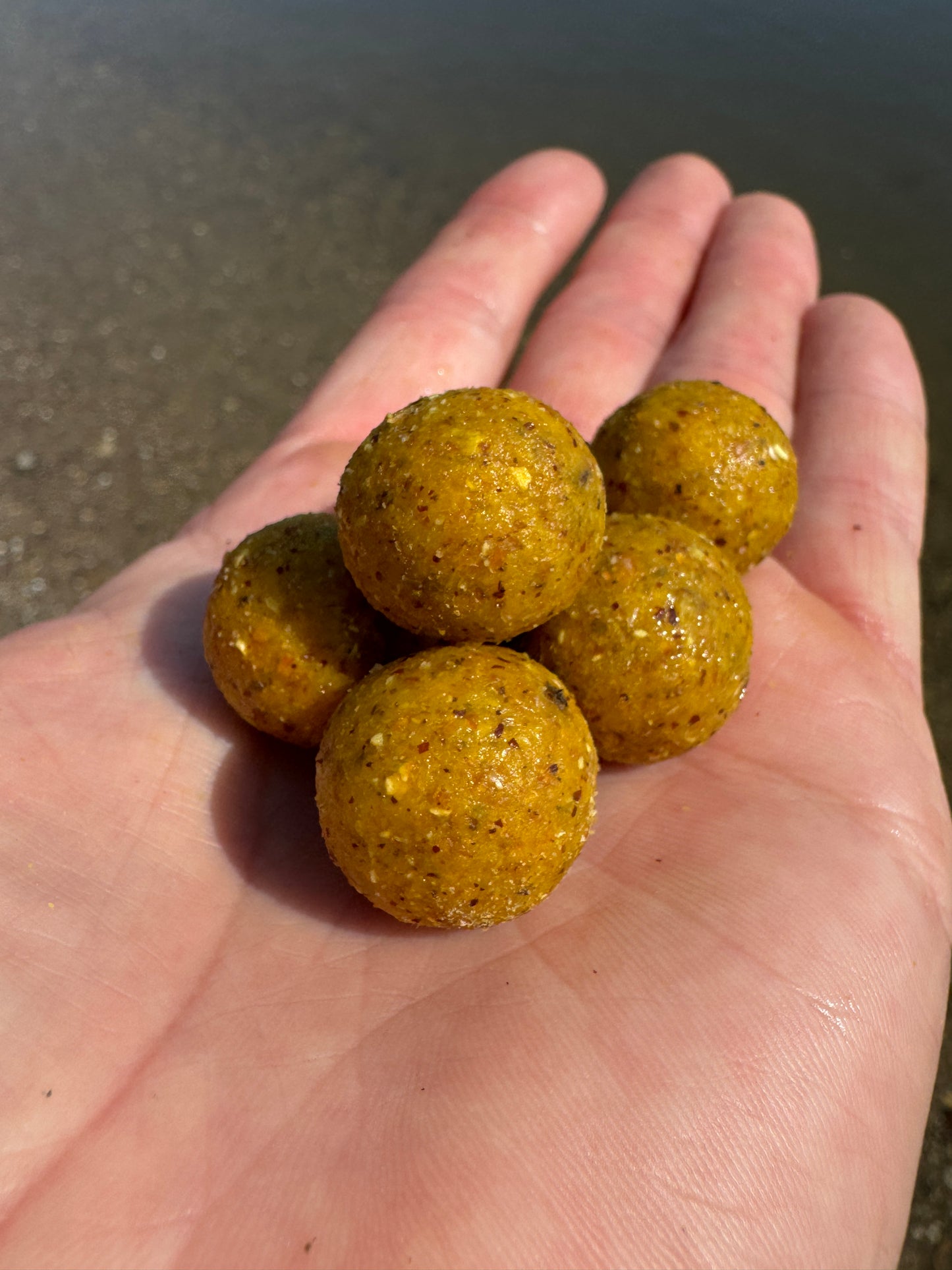 10kg Boilie Bundle – Scopex & Monster Crab – 20mm – Karpfen/Carp Top Preis!