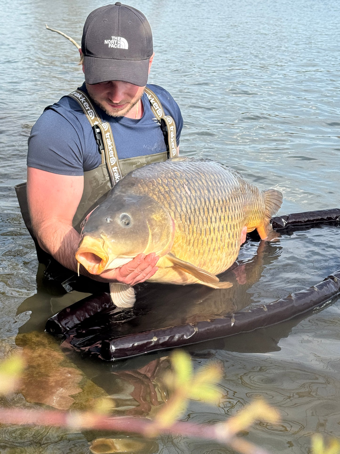 10kg Boilie Bundle – Scopex & Monster Crab – 20mm – Karpfen/Carp Top Preis!