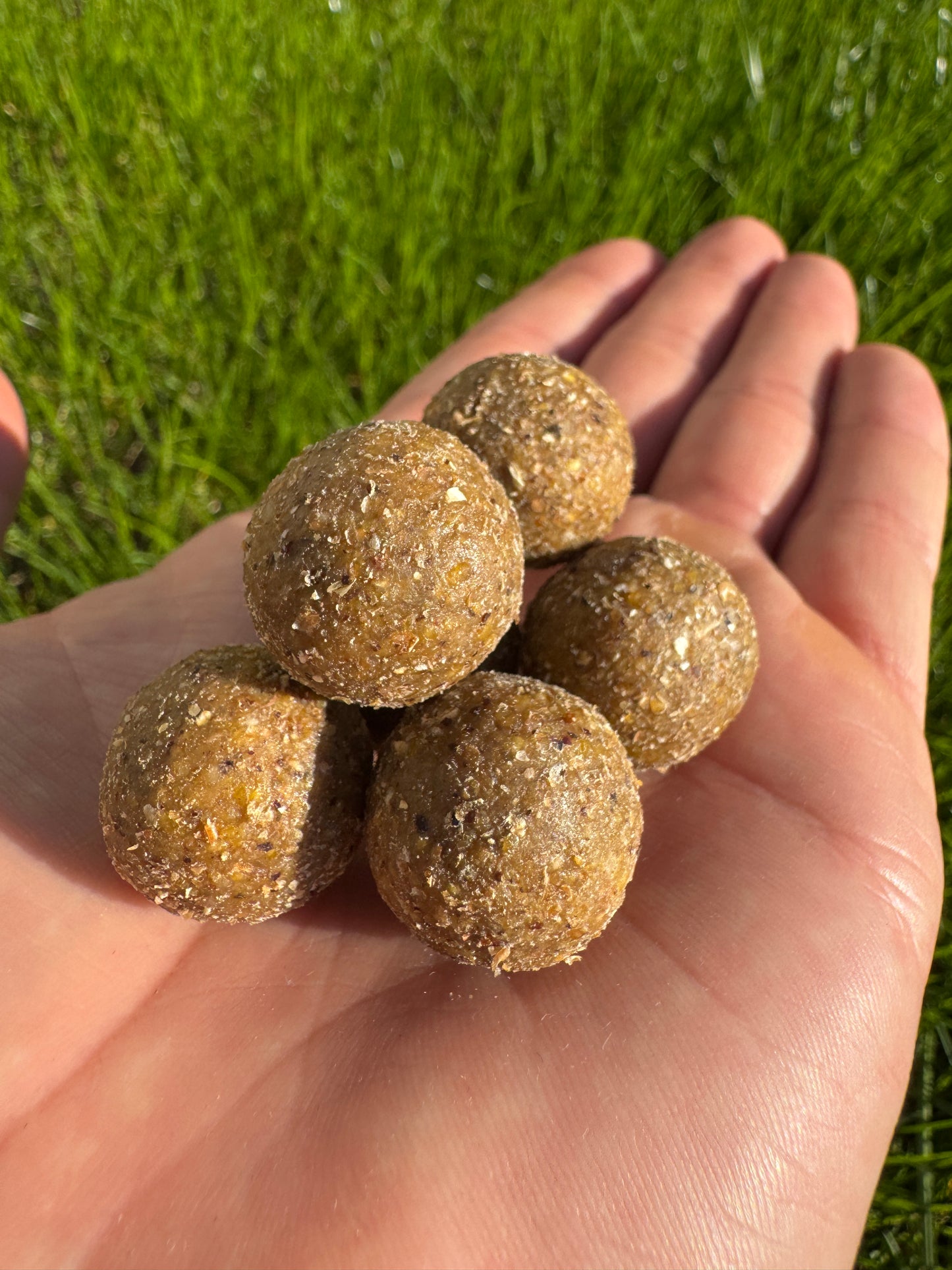 Scopex & Squid Boilies 5kg - 20mm - Karpfenangeln