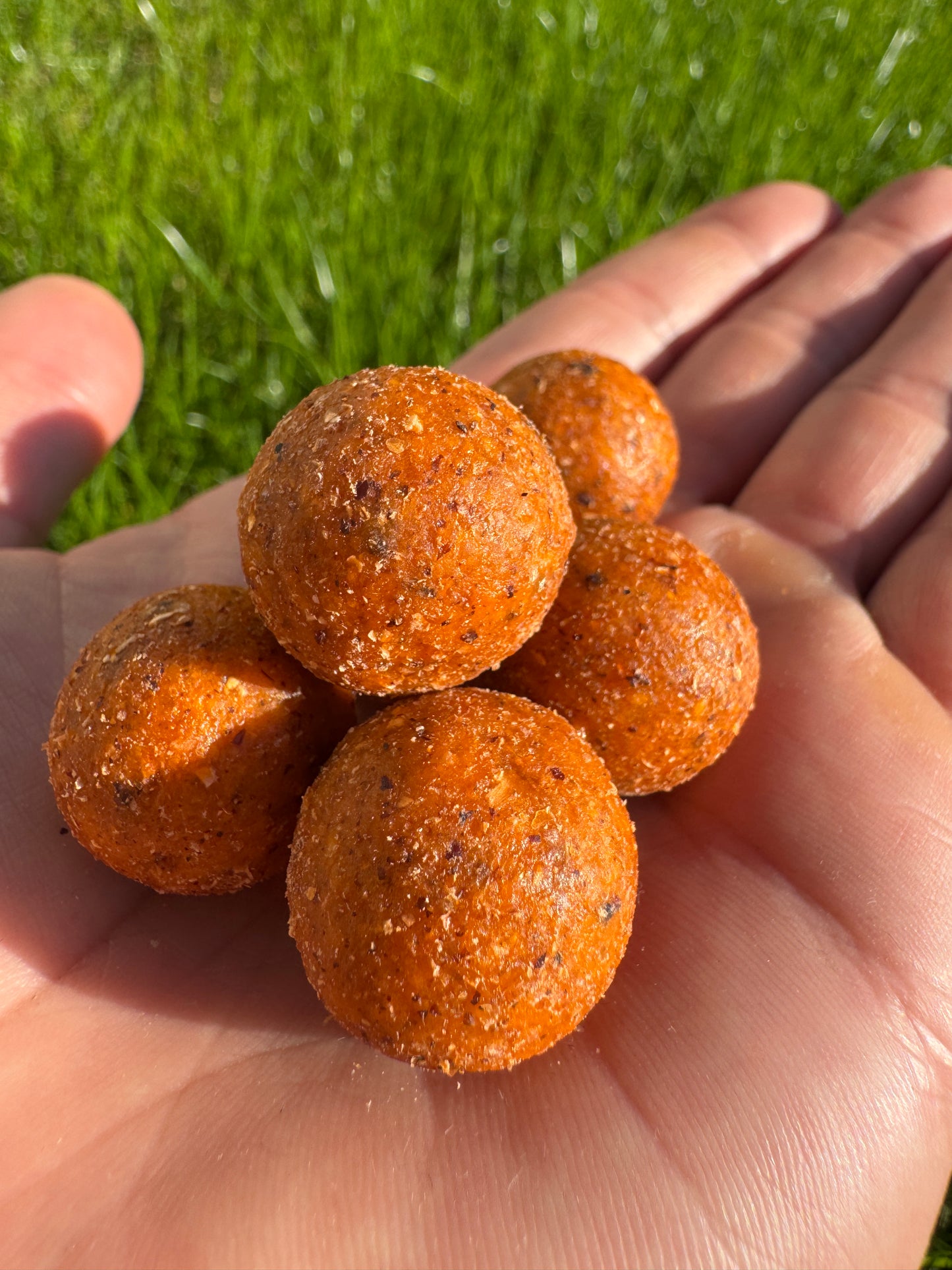 10kg Boilie Bundle – Scopex & Monster Crab – 20mm – Karpfen/Carp Top Preis!