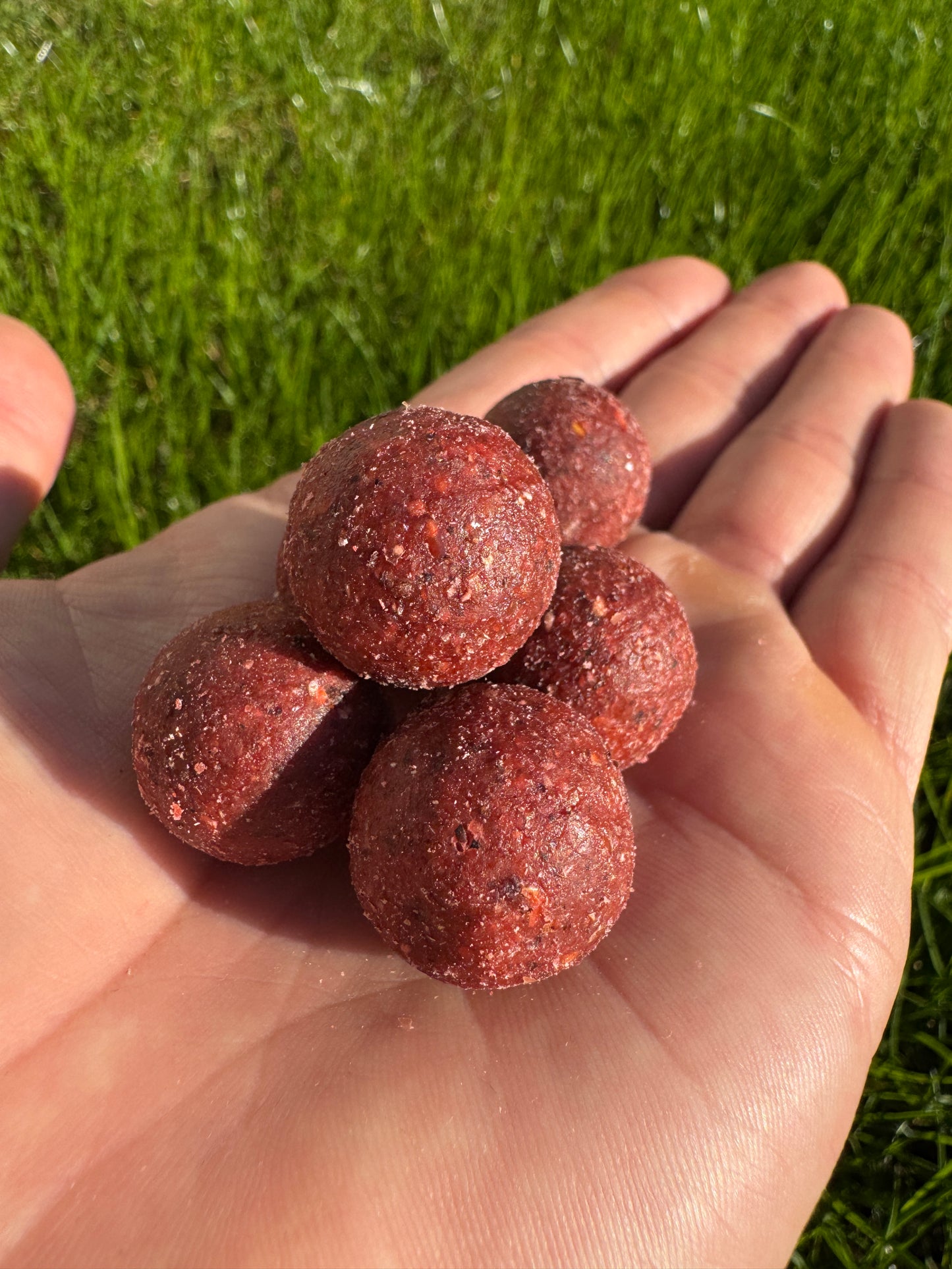 Krill Boilies 5kg - 20mm - Karpfenangeln