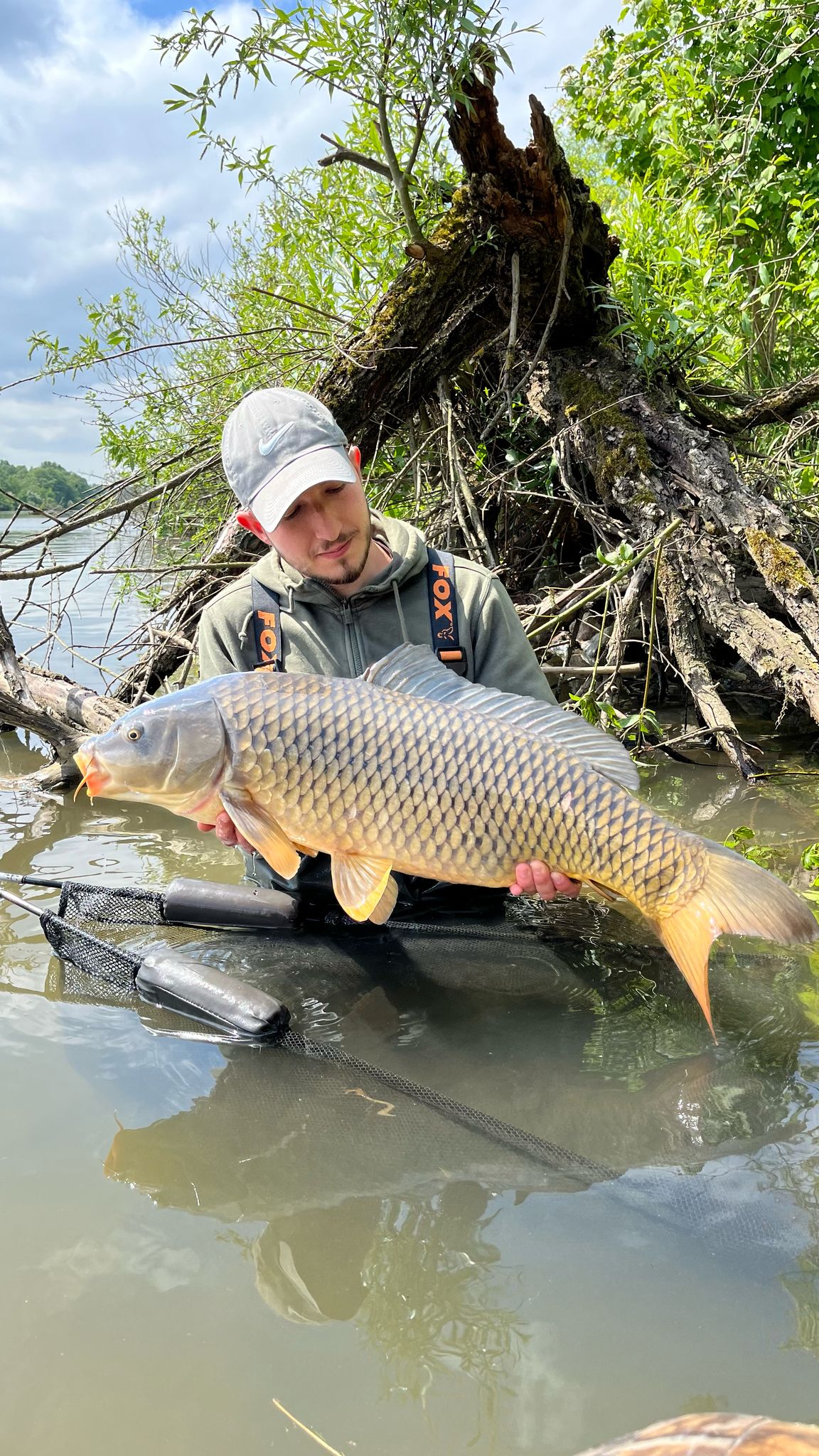 10kg Boilie Bundle – Creamy Scopex & Monster Crab – 20mm – Karpfen/Carp Top Preis!