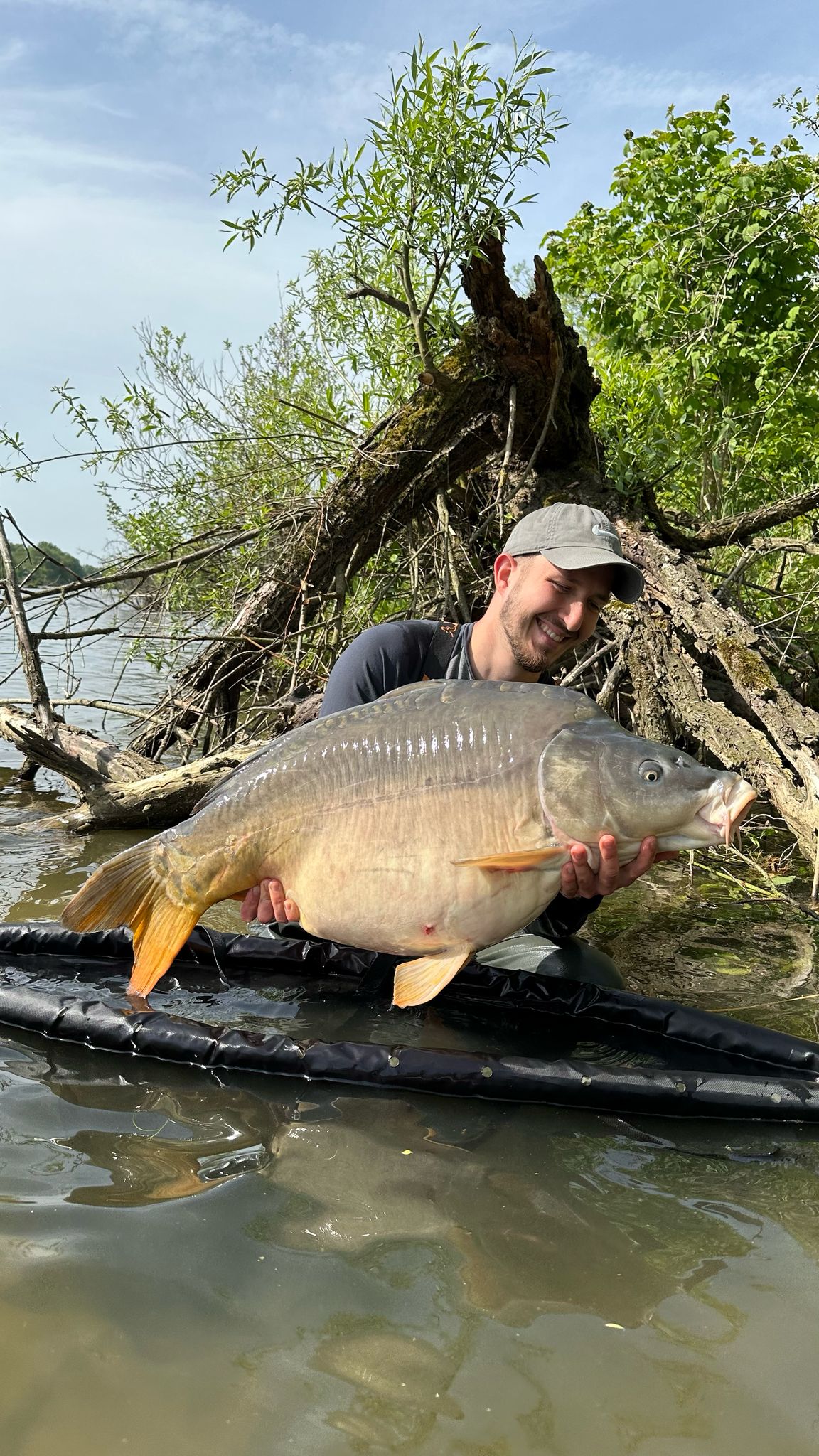 Krill Boilies 5kg - 20mm - Karpfenangeln